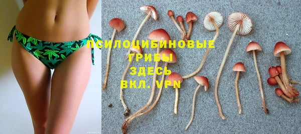 ALPHA PVP Богородицк