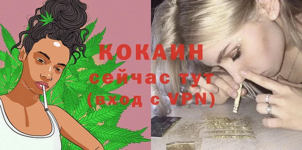 ALPHA PVP Богородицк
