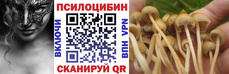 Галлюциногенные грибы Magic Shrooms  Мценск 